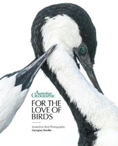 For the Love of Birds book cover