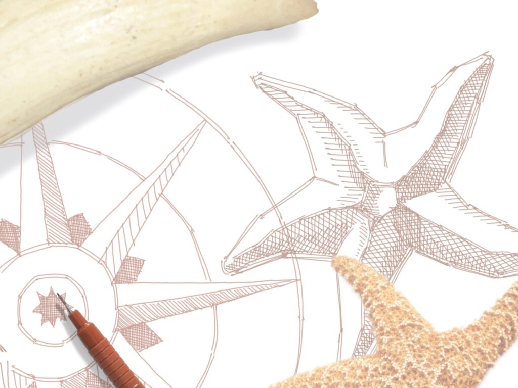 Draw like a Scrimshander - A beginner’s guide to Scrimshaw Art Workshop ...