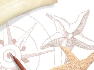 Scrimshaw drawing on paper with pen, tooth and starfish