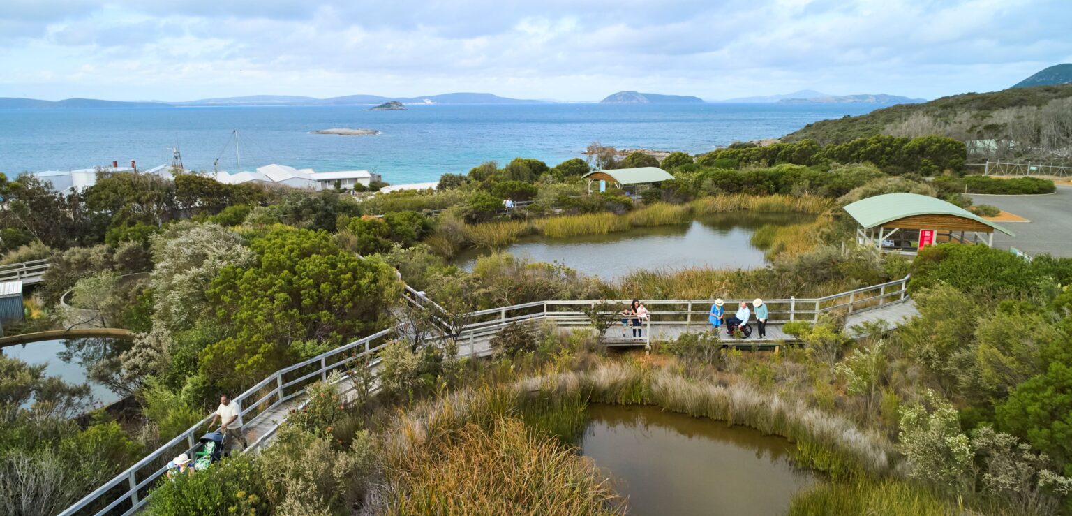 Aerial view of wetland boardwalks with families walking through