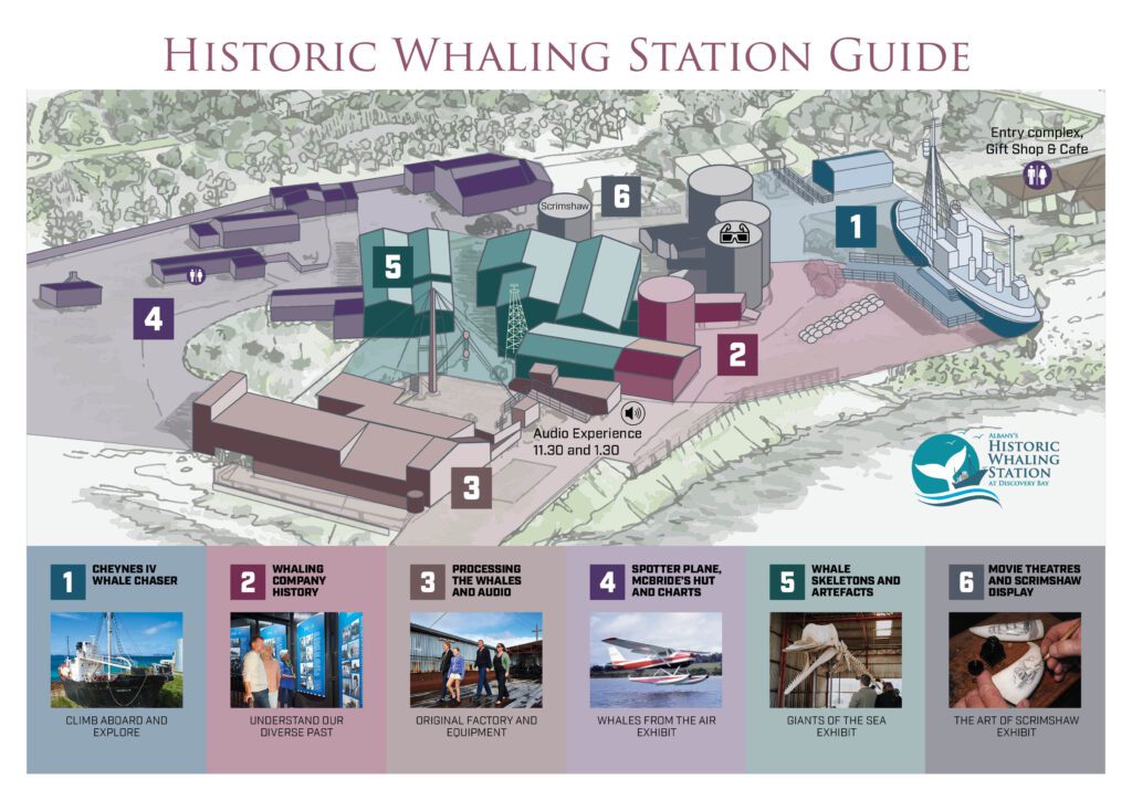 Illustrated map of aerial view of historic whaling station site