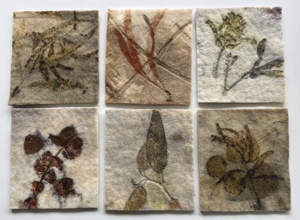 Anne Cochrane felt squares